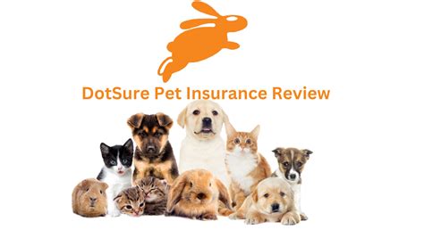 dotsure pet insurance reviews